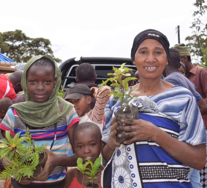 Pack of 500 Tree Kit Cups, We Plant 5000 More Trees