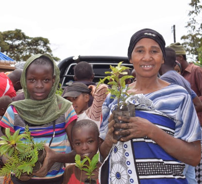 Pack of 500 Tree Kit Cups, We Plant 5000 More Trees