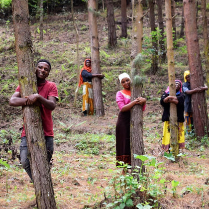 Pack of 20 Tree Kit Pouches, We Plant 200 More Trees