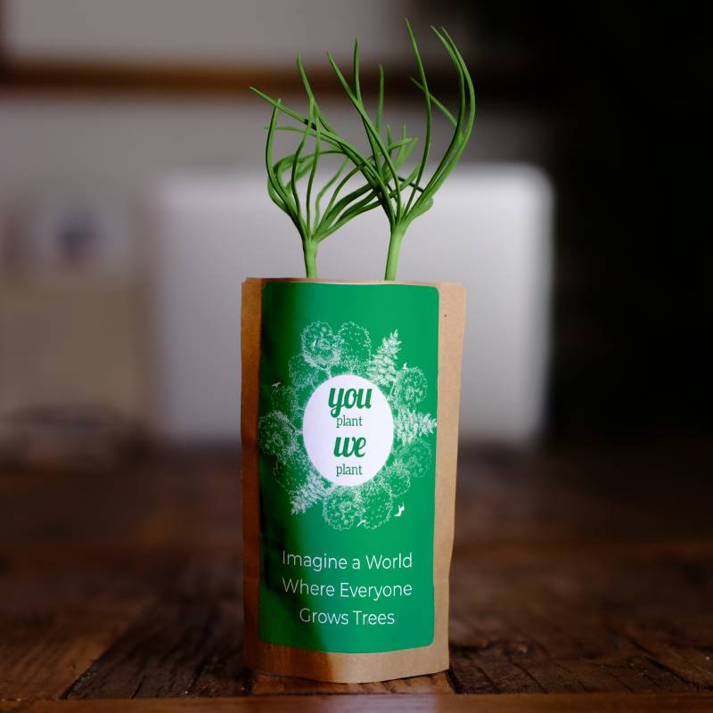 Pack of 20 Tree Kit Pouches, We Plant 200 More Trees
